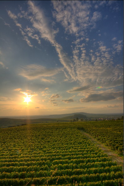 Sonnenuntergang am Kaiserstuhl